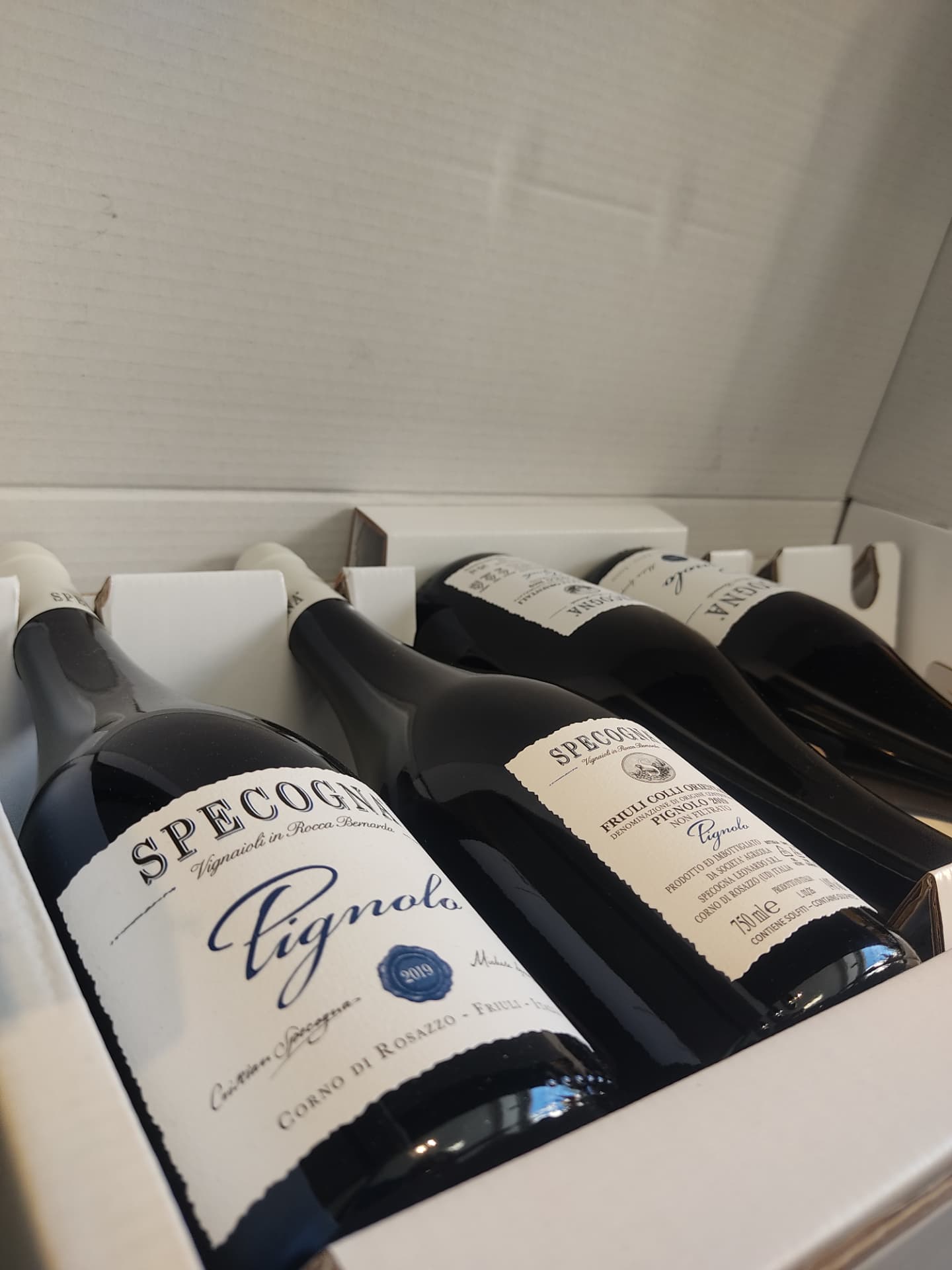 Pignolo Specogna 2019